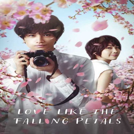 فیلم عشقی مانند سقوط گلبرگ ها - Love Like the Falling Petals 2022