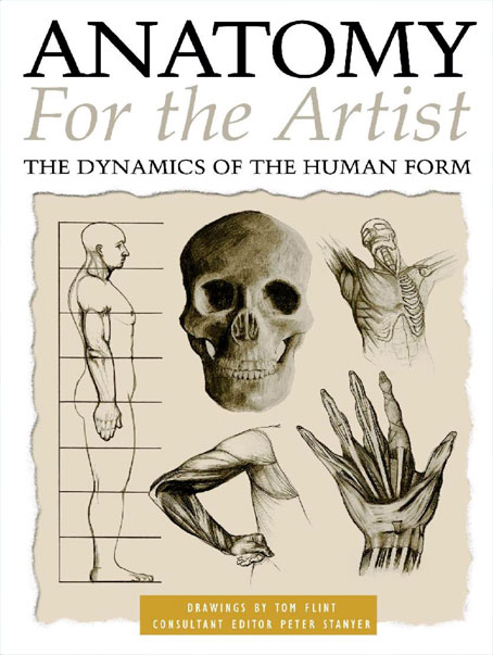 کتاب آموزشی آناتومی برای هنرمندان - تام فلاینت