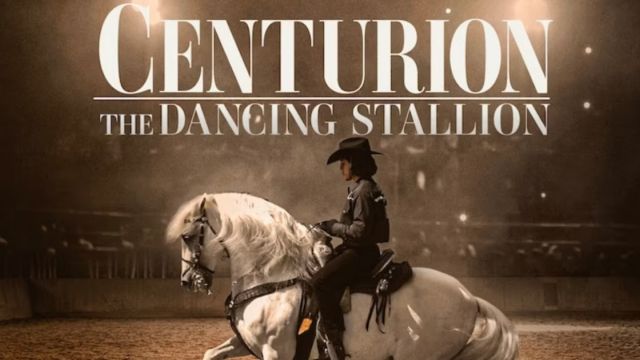 فیلم سنتوریون نریان رقصنده 2023 Centurion The Dancing Stallion با زیرنویس چسبیده فارسی