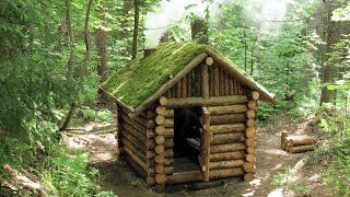 ساخت پناهگاه چوبی در جنگل