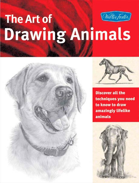 کتاب هنر طراحی از حیوانات - انتشارات والتر فاستر