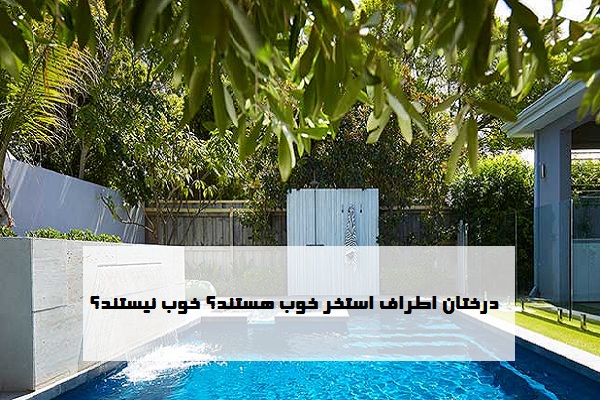 درختان اطراف استخر خوب هستند یا خیر؟